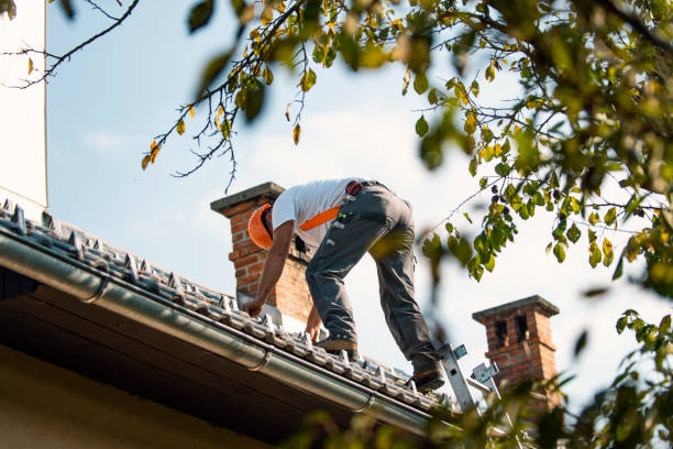 Best Commercial Roofing Services  in Alpena, MI