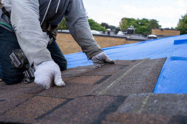 Best Metal Roofing Contractor  in Alpena, MI